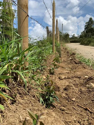 Lote De 5.000 M2 En San Vicente Ferrer, Vereda Montegrande Vía A Concepción