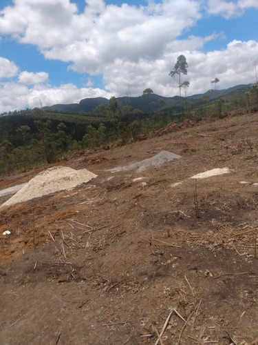 Imagem 7 de 12 de J09-venda De Lotes Em Mogi Das Cruzes R$60.000