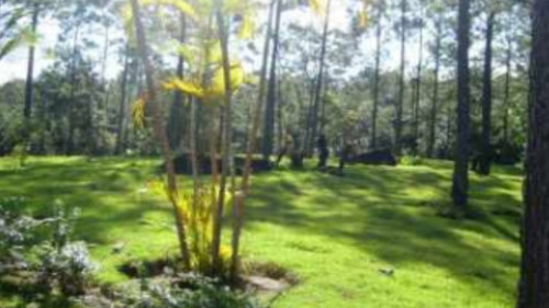 Imagen 16 de 19 de Hermosa Villa En Jarabacoa De Alquiler O Venta