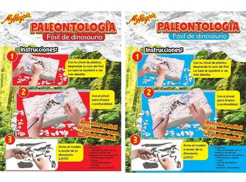 Imagen 3 de 3 de Paleontología Fósil De Dinosaurio Mi Alegría