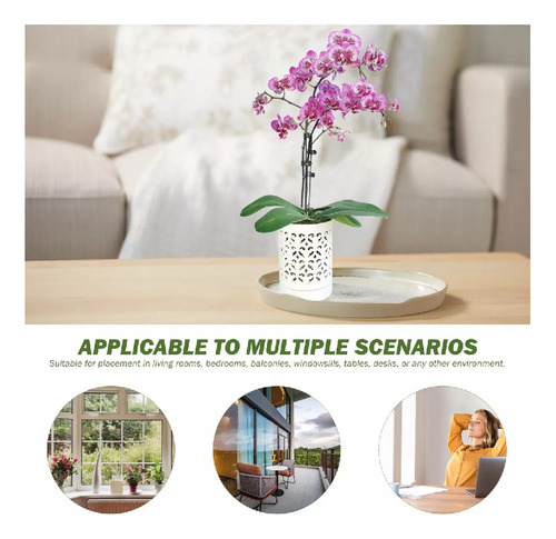 Macetas Para Orquídeas Con Agujeros Para Orquídeas De 4