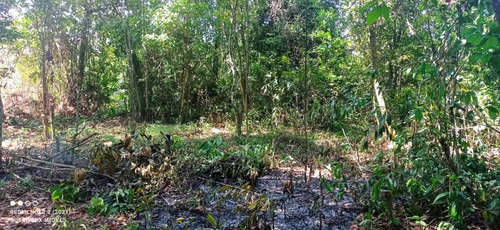 Imagem 3 de 3 de Ótimo Terreno Na Praia, Com Escritura, Analisa Carro Como Parte De Pagamento, No Jardim Coronel, Em Itanhaém, Com 300 M² De Área Total