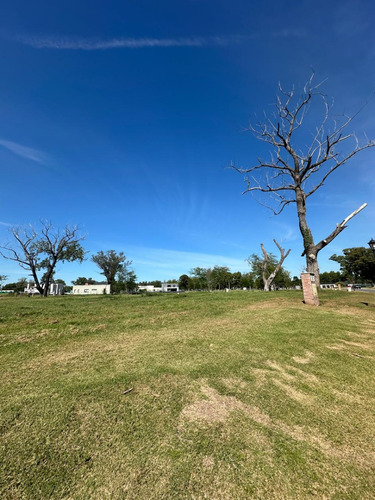 Lote En Venta | San Juan Chico