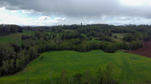 Campo En La Unión Cercano Al Lago Ranco 27,4 Hectáreas