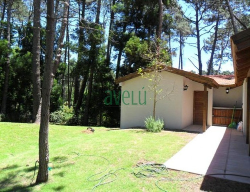 Imagen 4 de 14 de Casa En Burnett, 4 Dormitorios *- Ref: 901