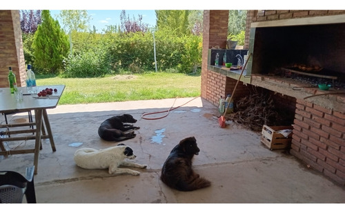 Interesante Y Hermosa Finca Productiva En Venta