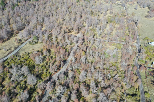 Terreno 5.000 M2, Sector Caracoles, Malalcahuello
