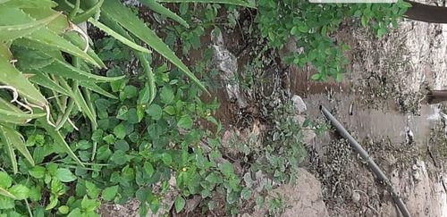 Imagen 6 de 6 de Terreno En Venta En Huasteca