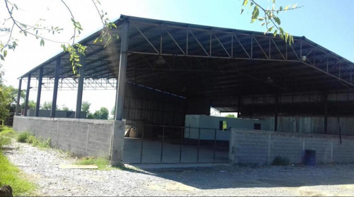 Bodega/nave En Venta En Colonia Dulces Nombres, Pesquería, Nuevo León