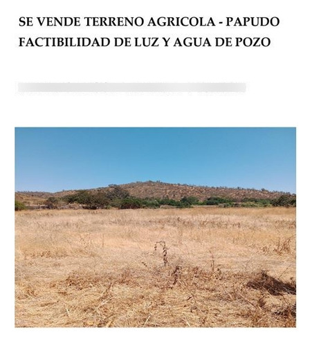 Terreno Agrícola De 7000mt2 En Venta En Papudo - Oportunidad