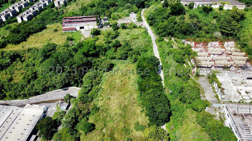 Terreno En Venta En Los Anaucos Cda 24-8682 Yf