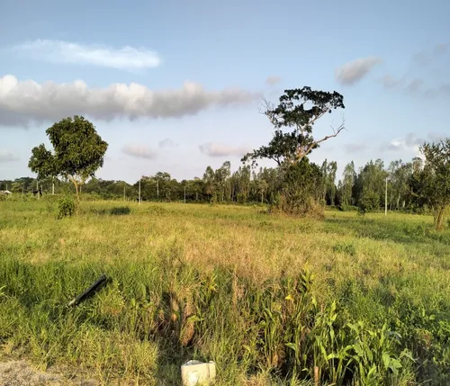 Lotes Conjunto Campestre La Bonga Sabanagrande Atlántico