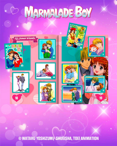 Mini Álbum Marmalade Boy (set Completo)