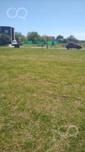 Imagen 11 de 22 de Terreno - San Ramiro