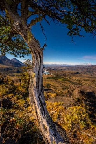 Imagen 16 de 21 de Sitio En Loteo Venta En Cerro Castillo Río Ibáñez Aysen