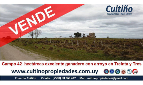 Imagen 2 de 9 de Campo En Venta 42 Hectareas En Treinta Y Tres