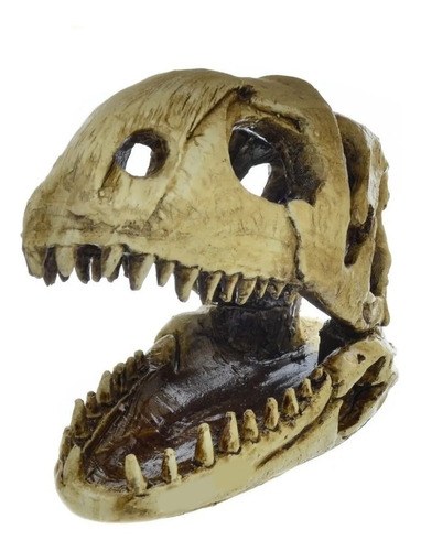 Enfeite Para Aquários Crânio De Dinossauro Ns-98 Nomoypet 