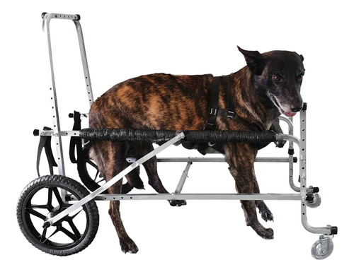 Cadeira Andador 4 Rodas Cão Cachorro Grande Porte 25 A 50kg