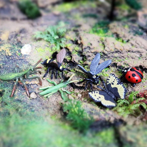5 X 6x Realista Insectos Ciencia Juguetes Educativos Para