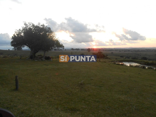 Imagen 6 de 12 de Chacra A La Venta Ruta 39, Camino Cerro Catedral