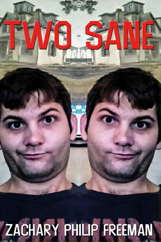 Two Sane, De Freeman, Zachary Philip. Editorial Createspace, Tapa Blanda En Inglés