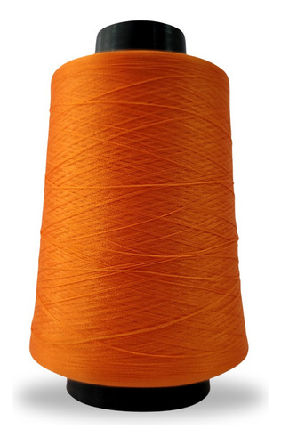 Linha Para Overlock 100g 100% Poliester (tex18) Linhanyl Cor 5351