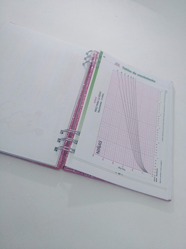 Imagen 10 de 10 de Agenda Pediátrica Personalizado Para Controles Bebés.