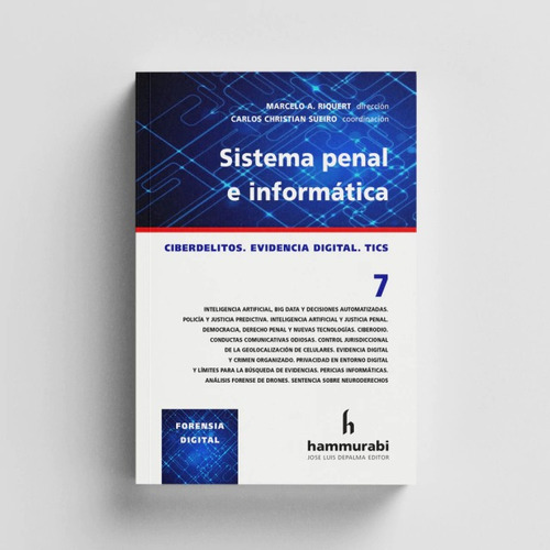 Sistema Penal E Informática Tomo 7 - Riquert, De Riquert. Editorial Hammurabi, Tapa Blanda En Español, 2024