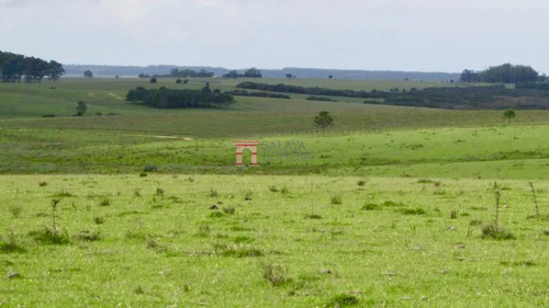 Venta Chacra Marítima, Altos Jose Ignacio
