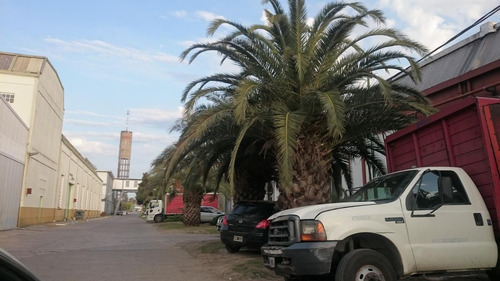 Alquiler A Estrenar Nave Industrial De 1200m2 Parque Industrial Platanos