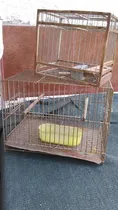 Comprar Lote Jaulas Pajaritos De Metal Colección Decoración