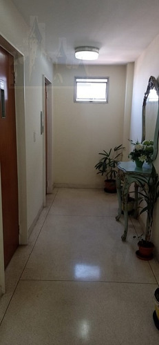 Imagem 7 de 19 de Apartamento Para Aluguel, 2 Dormitórios, Vila Monte Alegre - São Paulo - 10861