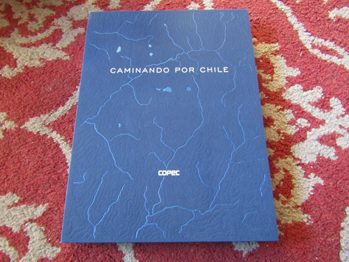 Caminando Por Chile Ronald Patrick-nicolas Melo