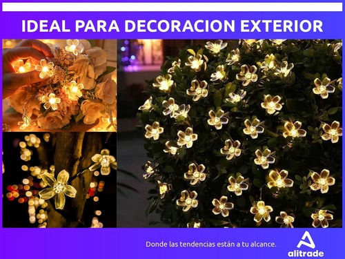 Imagen 3 de 10 de 6,5 Mts Luces Guirnalda Interior/exterior Led Flor