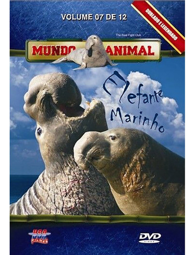 Dvd Mundo Animal - Elefante Marinho Vol. 7 De 12