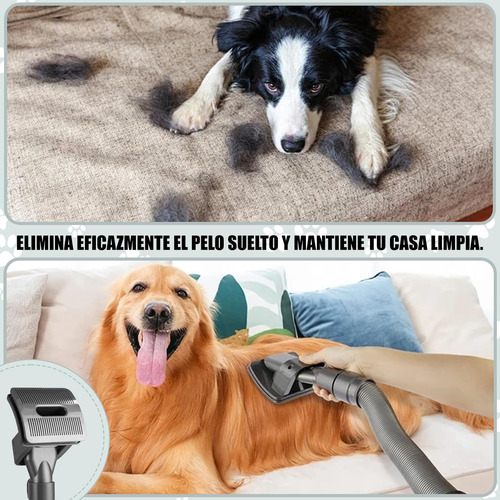 4 Piezas Cepillo Quita Pelo Demascotas Accesorios