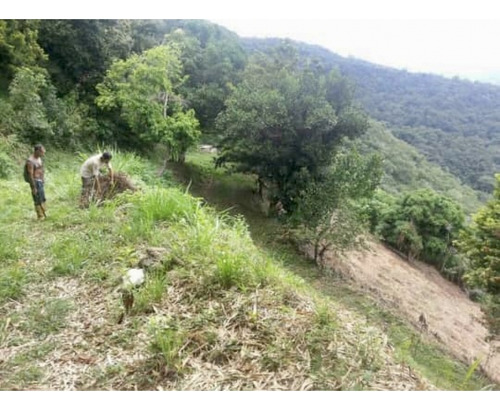 Baja De Precio. En Venta Terreno Agropecuario En Turgua