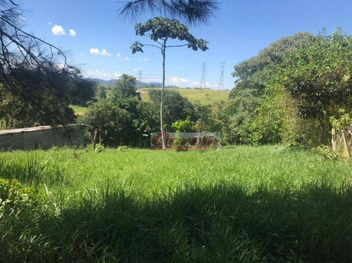 Imagem 3 de 7 de Terreno À Venda, 1000 M² Por R$ 300.000,00 - Cézar De Souza - Mogi Das Cruzes/sp - Te0916