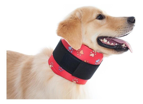 Colar Protetor Cervical P/ Cachorro Pet Med Tam 6