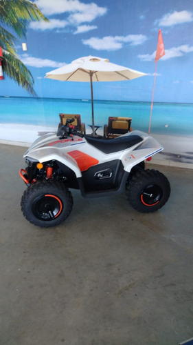 Quadriciclo Cforce Ev110 Eletrico