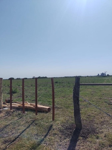 Imagen 10 de 11 de Campo - Talitas Gualeguaychu