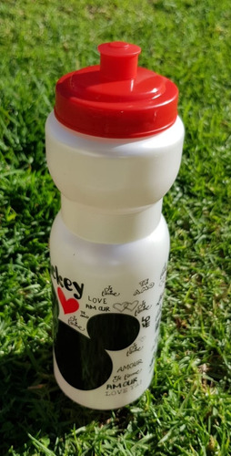 Cilindro Agua Plástico Disney Mickey Mouse Mod 4, 800 Ml