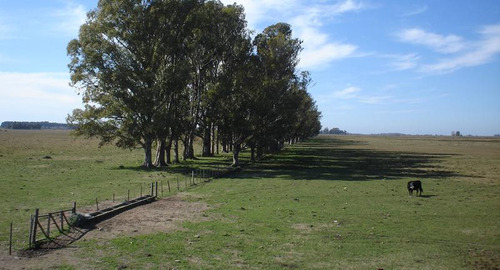 450 Has - Campo Ganadero En Venta A Metros De Ruta !!!