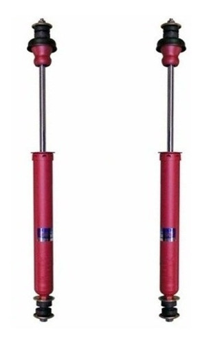 Kit X2 Amortiguador Trasera Fric Rot  R18 81 2.0