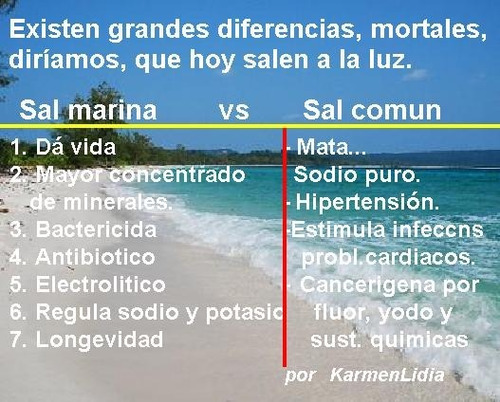 Imagen 3 de 7 de 1 Kilo De Sal De Mar Orgánica 100% Natural