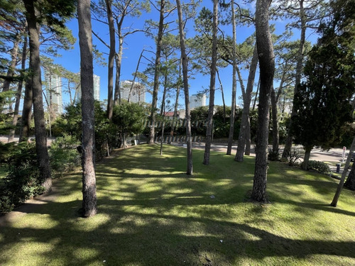 Imagen 10 de 11 de Venta Apartamento 1 Dormitorio Complejo Arcobaleno