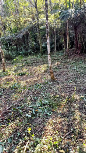 Vendo Um Sítio De 49.000 Metros Com Represa Dentro