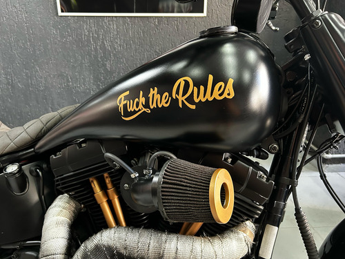 Harley-davidson Fat Boy Flstf 2011 - Segundo Dono - Revisada