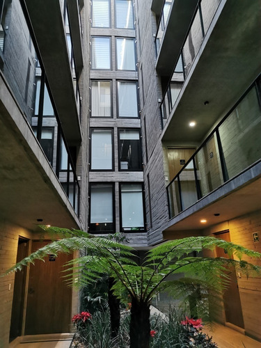 Imagen 22 de 30 de Departamento Venta/renta Letrán Valle