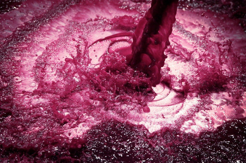 Levadura Para Vinos Classic Bayanus